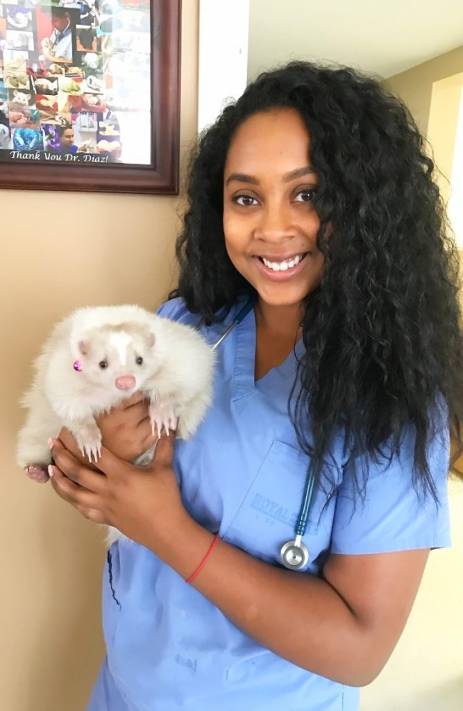 About Our Staff Exotic Animal Hospital of Orlando
