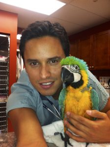 Exotic Bird