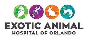 Exotic Veterinarian | Exotic Animal Vet 