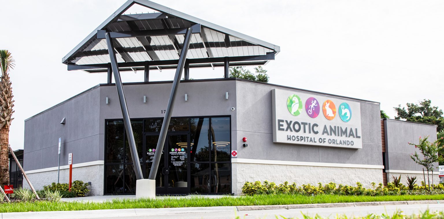 Exotic Animal Hospital of Orlando Expert Exotic Vet & Pet Care